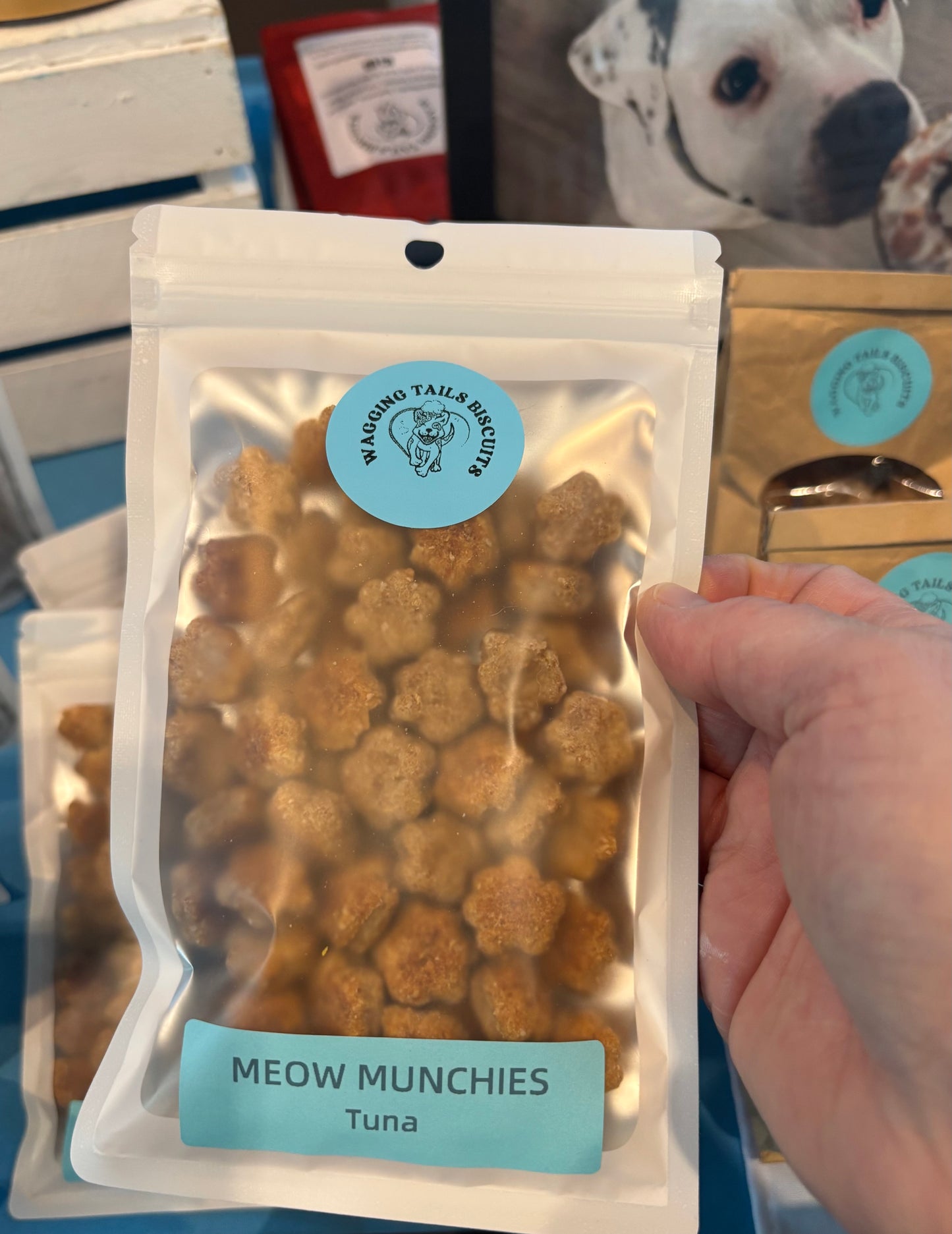 Meow Munchies